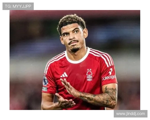 吉布斯怀特称赞澳波始终努力解决问题并全力以赴把事情做到最好